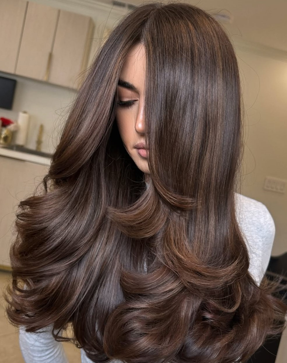 Rich Brunette Hairstyle with Dimension