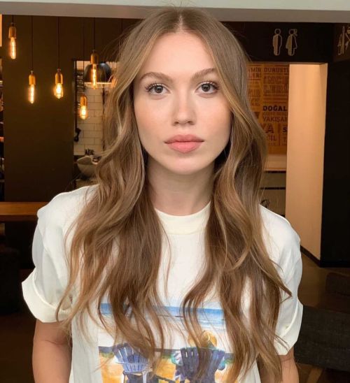 Long light Brown Hairstyle for Fine Hair